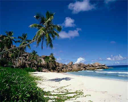 Grand Anse, La Digue, Seychelles, Indian Ocean, Africa Foto de stock - Con derechos protegidos, Código: 841-02824608