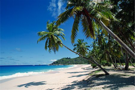 Anse Intedance, Mahe, Seychelles, Indian Ocean, Africa Stock Photo - Rights-Managed, Code: 841-02824637