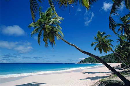 seychelles - Anse Intedance, Mahe, Seychelles, Indian Ocean, Africa Foto de stock - Con derechos protegidos, Código: 841-02824638