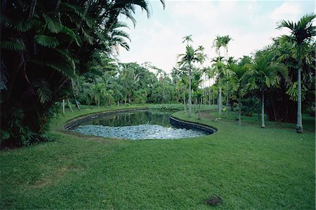 simsearch:841-02993694,k - Pamplemousse Gardens, Mauritius, Africa Stock Photo - Rights-Managed, Code: 841-02824633