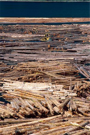 Sorting logs for mill, British Columbia, Canada, North America Stock Photo - Rights-Managed, Code: 841-02824679