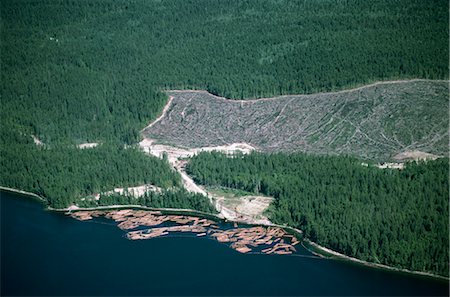 Logged area and surrounding forest from the air, British Columbia, Canada, North America Stock Photo - Rights-Managed, Code: 841-02824680