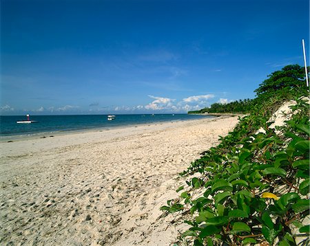 simsearch:841-02703908,k - Nyali Beach, Kenya, East Africa, Africa Foto de stock - Con derechos protegidos, Código: 841-02824892