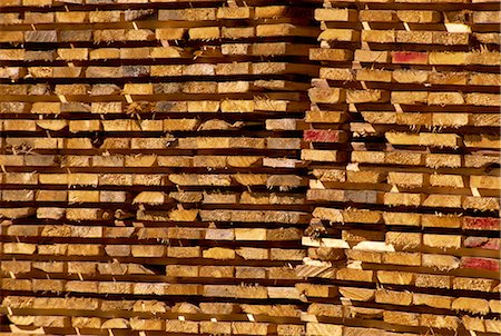 simsearch:841-02824677,k - Timber, British Columbia, Canada, North America Stock Photo - Rights-Managed, Code: 841-02824963