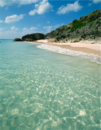 Whale Beach, Bermuda, Central America, mid Atlantic Stock Photo - Rights-Managed, Code: 841-02825097