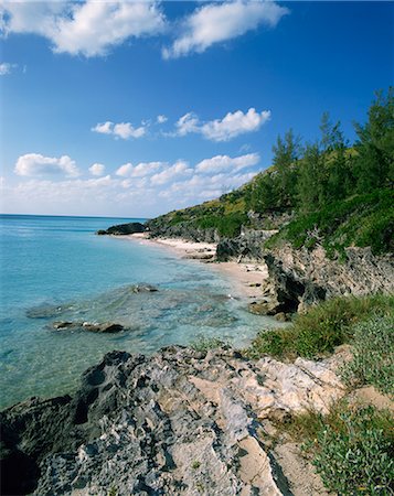 Whale Beach, Bermuda, Central America, mid Atlantic Stock Photo - Rights-Managed, Code: 841-02825099