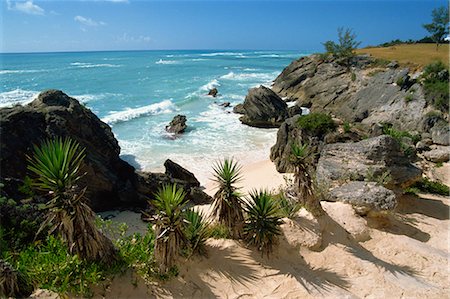 South coast beach, Bermuda, Atlantic Ocean, Central America Fotografie stock - Rights-Managed, Codice: 841-02825154