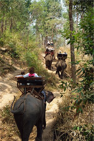 Tourists taking elephant ride at Elephant Show, near Chiang Mai, Thailand, Southeast Asia, Asia Foto de stock - Con derechos protegidos, Código: 841-02825182