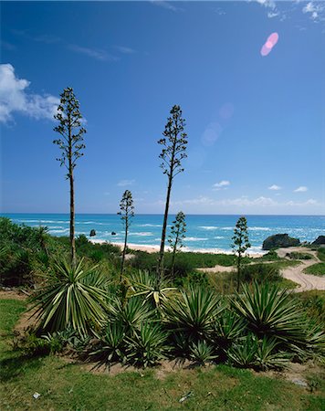 South coast, Bermuda, Central America, mid-Atlantic Foto de stock - Con derechos protegidos, Código: 841-02825192
