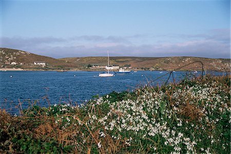 Bryher, Isle of Scilly, United Kingdom, Europe Stock Photo - Rights-Managed, Code: 841-02825255