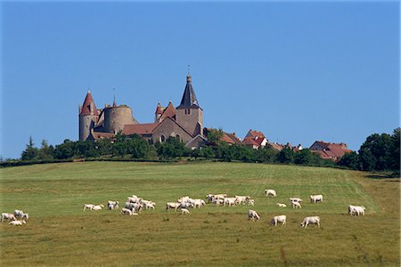 simsearch:841-02945891,k - Chateauneuf, Burgundy, France, Europe Stock Photo - Rights-Managed, Code: 841-02825294