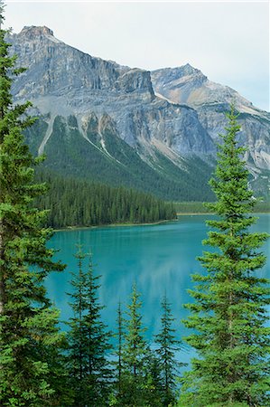 emerald lake - Lac Emerald, Parc National Yoho, Site du patrimoine mondial de l'UNESCO, montagnes Rocheuses, en Colombie-Britannique, Canada, Amérique du Nord Photographie de stock - Rights-Managed, Code: 841-02825324