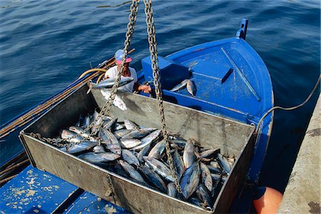 santiago spain fishing - Santiago, La Gomera, Canary Islands, Spain, Atlantic Ocean, Europe Stock Photo - Rights-Managed, Code: 841-02825489