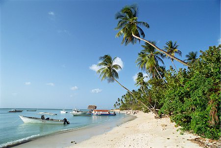 pigeon point - Pigeon Point, Tobago, West Indies, Caribbean, Central America Foto de stock - Con derechos protegidos, Código: 841-02825606