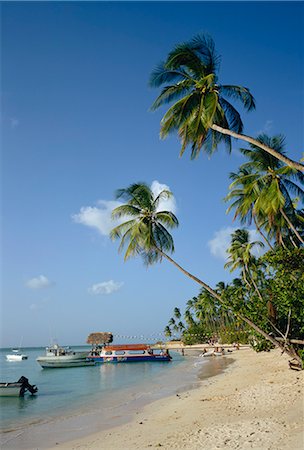 pigeon point - Pigeon Point, Tobago, Antilles, Caraïbes, Amérique centrale Photographie de stock - Rights-Managed, Code: 841-02825607