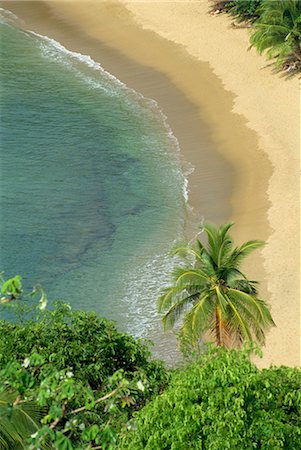 Bay, Tobago, West Indies de l'anglais, Antilles, Amérique centrale Photographie de stock - Rights-Managed, Code: 841-02825615