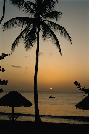 simsearch:841-03066378,k - Turtle Beach, Tobago, West Indies, Caribbean, Central America Foto de stock - Direito Controlado, Número: 841-02825626