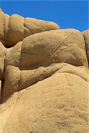 Joshua Tree National Monument, California, United States of America, North America Stock Photo - Rights-Managed, Code: 841-02825712