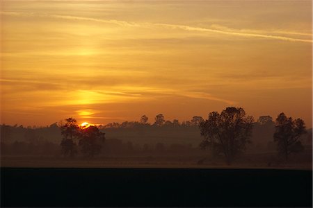 simsearch:841-02943892,k - Coucher de soleil sur des terres agricoles, Angleterre, Royaume-Uni, Europe Photographie de stock - Rights-Managed, Code: 841-02826024