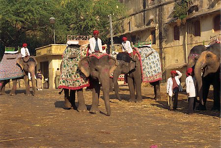 Éléphant de transport pour les touristes, Amber Palace, près de Jaipur, Rajasthan État, Inde, Asie Photographie de stock - Rights-Managed, Code: 841-02826166