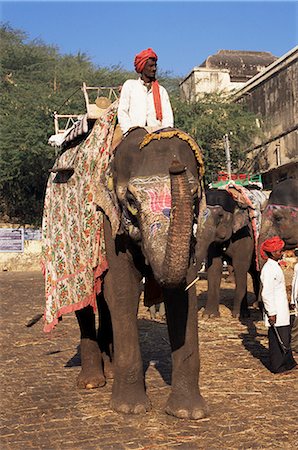 Éléphant de transport pour les touristes, Amber Palace, état de Jaipur, Rajasthan, Inde, Asie Photographie de stock - Rights-Managed, Code: 841-02826160