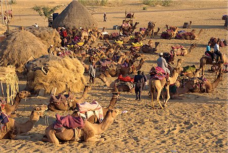 Sam Sand Dunes at dusk, near Jaisalmer, Rajasthan state, India, Asia Foto de stock - Direito Controlado, Número: 841-02826236