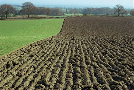 simsearch:841-02826234,k - Fields between Llanarmon and Llanrhaeadr, Denbighshire, Wales, United Kingdom, Europe Fotografie stock - Rights-Managed, Codice: 841-02826241