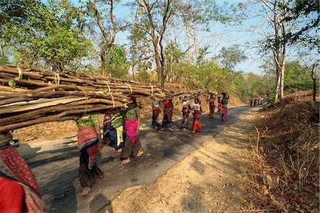 Women collecting firewood near Dhariyawad, Rajasthan state, India, Asia Stock Photo - Rights-Managed, Code: 841-02830771