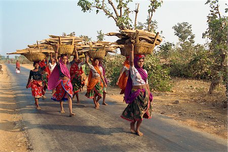 Women collecting firewood near Dhariyawad, Rajasthan state, India, Asia Stock Photo - Rights-Managed, Code: 841-02830772