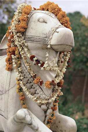 Statue de taureau sacré et guirlandes, Varanasi (Bénarès), l'Etat d'Uttar Pradesh, Inde, Asie Photographie de stock - Rights-Managed, Code: 841-02830909