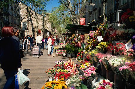 Las Ramblas flower stall, Barcelona, Catalonia, Spain, Europe Foto de stock - Direito Controlado, Número: 841-02831108