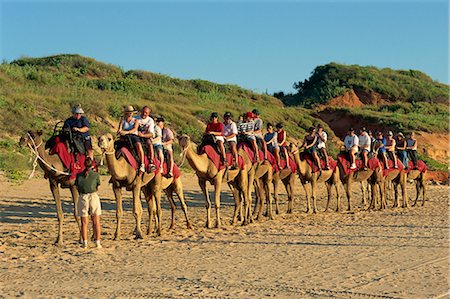 Promenades à dos de chameau, Cable Beach, Broome, Kimberley, Australie-occidentale, Australie, Pacifique Photographie de stock - Rights-Managed, Code: 841-02831545