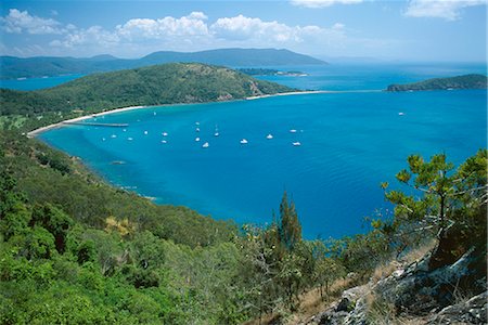 Vue sur la baie de Bauer, South Molle Island, Whitsundays, Queensland, Australie, Pacifique Photographie de stock - Rights-Managed, Code: 841-02831744