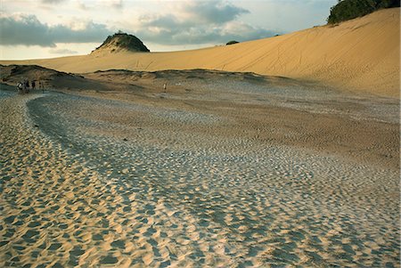 Great Sandy National Park, Fraser Island, UNESCO World Heritage Site, Queensland, Australia, Pacific Stock Photo - Rights-Managed, Code: 841-02831753