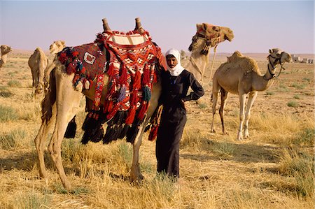 simsearch:841-02831226,k - Man beside camel used for transport, Jordan, Middle East Foto de stock - Con derechos protegidos, Código: 841-02832053