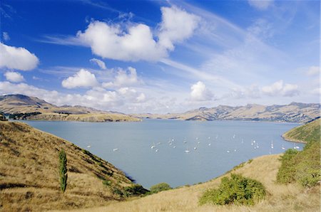 simsearch:841-02703546,k - Cass Bay près de Lyttelton, péninsule de Banks, Canterbury, île du Sud, Nouvelle-Zélande, Pacifique Photographie de stock - Rights-Managed, Code: 841-02832093