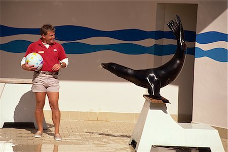 simsearch:841-02831226,k - Performing seal with trainer, Ocean World, Fort Lauderdale, Florida, United States of America, North America Foto de stock - Con derechos protegidos, Código: 841-02832112