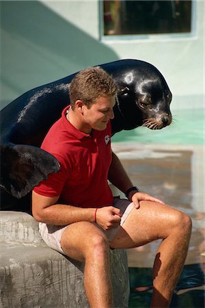 simsearch:841-02831226,k - Friendly performing seal with trainer, Ocean World, Florida, United States of America, North America Foto de stock - Con derechos protegidos, Código: 841-02832121