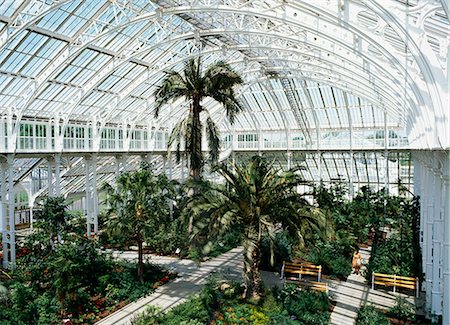 Interior of the Temperate House, restored in 1982, Kew Gardens, UNESCO World Heritage Site, Greater London, England, United Kingdom, Europe Stock Photo - Rights-Managed, Code: 841-02832387