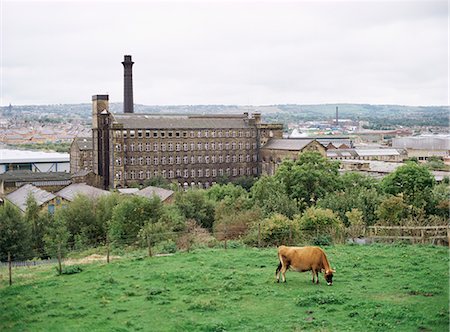 Old wool mills, west of the city, looking south from Manningham area, Bradford, West Yorkshire, England, United Kingdom, Europe Foto de stock - Con derechos protegidos, Código: 841-02832412