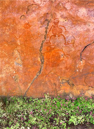 Aborigines bemalte Figuren mit Blumen unterhalb der Felsen nach Regen, in der Nähe von King Edward River, Kimberley, Kulumburu Road, West Australien, Australien, Pazifik Stockbilder - Lizenzpflichtiges, Bildnummer: 841-02832468