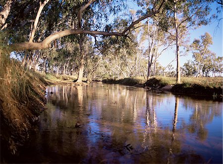 Gum trees beside Hann River, central Gibb River Road, Kimberley, Western Australia, Australia, Pacific Stock Photo - Rights-Managed, Code: 841-02832462