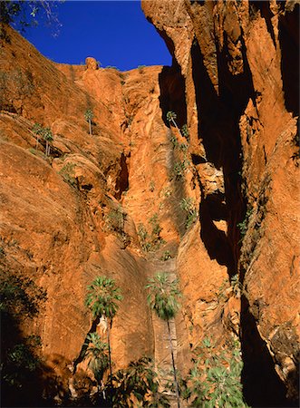 simsearch:841-02703810,k - Palm trees in cliffs of gorge leading to Froghole, Purnululu National Park, Bungle Bungle, Kimberley, West Australia, Australia, Pacific Foto de stock - Con derechos protegidos, Código: 841-02832473