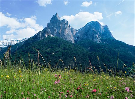 simsearch:841-03061054,k - May flowers and Mount Sciliar (Sclern), Dolomites, Trentino-Alto Adige (South Tirol), Italy, Europe Stock Photo - Rights-Managed, Code: 841-02832563