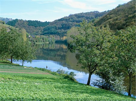 simsearch:841-02899748,k - Lettuce cultivation in foreground, by River Lot, near Port d'Acres, north of Decazeville, Midi-Pyrenees, France, Europe Foto de stock - Con derechos protegidos, Código: 841-02832631