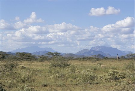 simsearch:841-02915843,k - Looking north in Samburu bush country, Kenya, East Africa, Africa Stock Photo - Rights-Managed, Code: 841-02832709