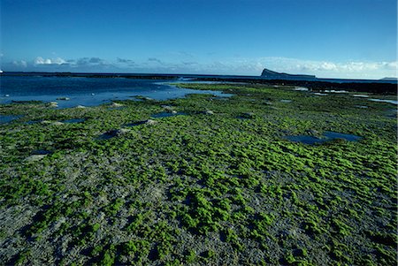 Cap Malheureux, northern tip of the coast, Mauritius, Indian Ocean, Africa Stock Photo - Rights-Managed, Code: 841-02832811