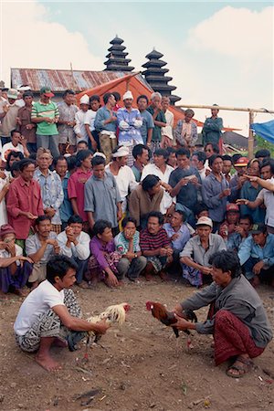 Illegal gambling, cock fighting, Bali, Indonesia, Southeast Asia, Asia Stock Photo - Rights-Managed, Code: 841-02832911