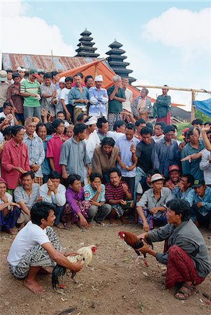 A crowd of people watching cock fighting on Bali, Indonesia, Southeast Asia, Asia Stock Photo - Rights-Managed, Code: 841-02899049