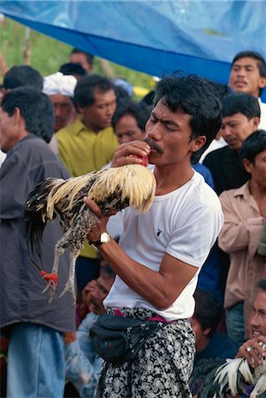 Man with rooster, highly prized fighting birds, Bali, Indonesia, Southeast Asia, Asia Foto de stock - Con derechos protegidos, Código: 841-02899050